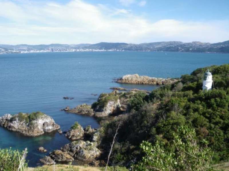 Botanical Garden Internship in New Zealand — photo 1