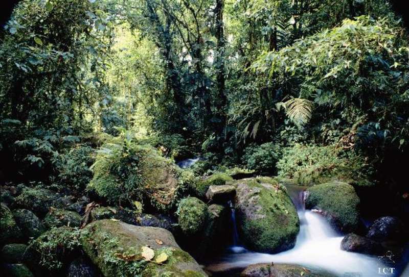 GLA Costa Rica - Volunteer Programs for Teens — photo 3