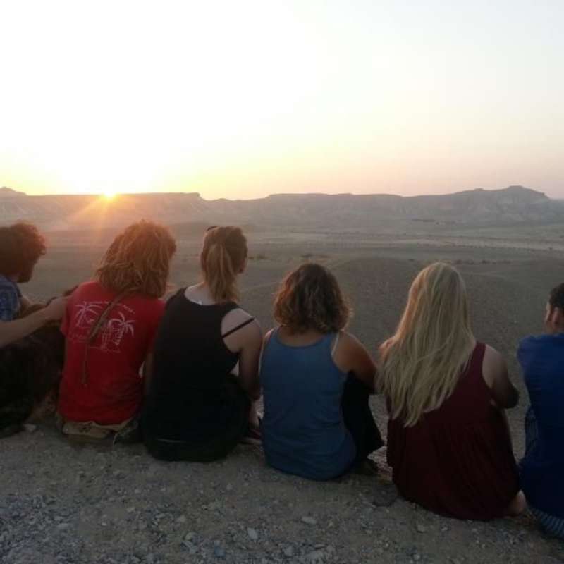 sunset in the desert