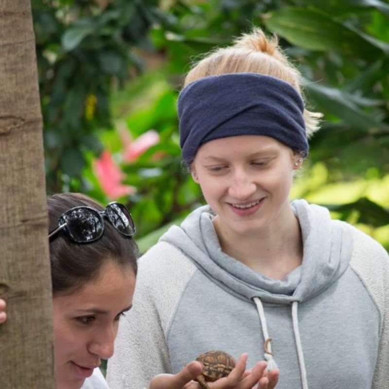 students and turtle