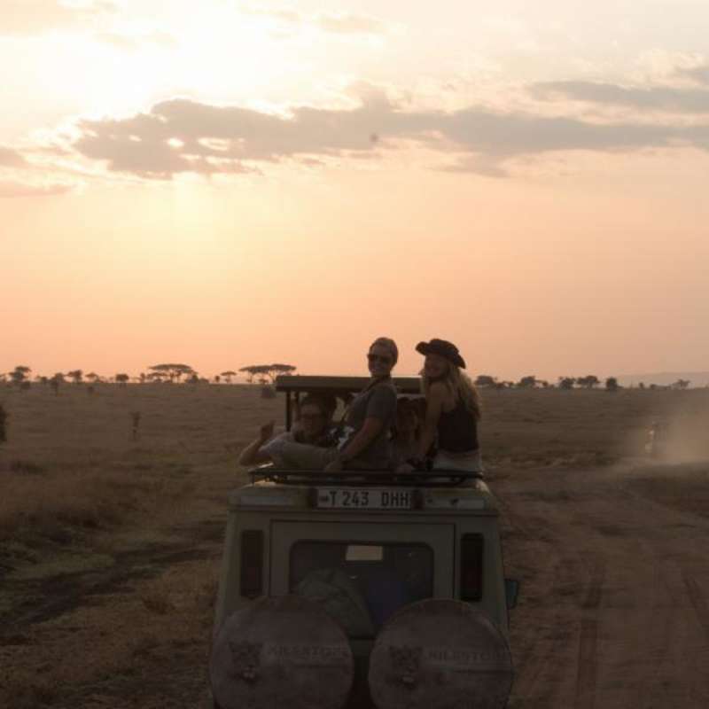 safari