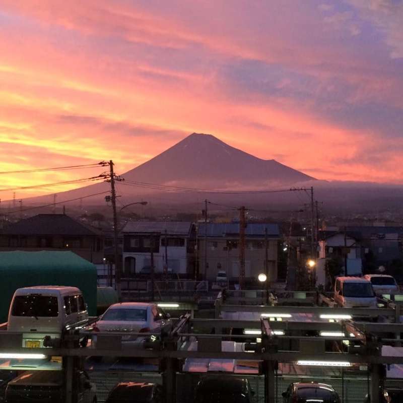 Study Abroad in Tokyo, Japan