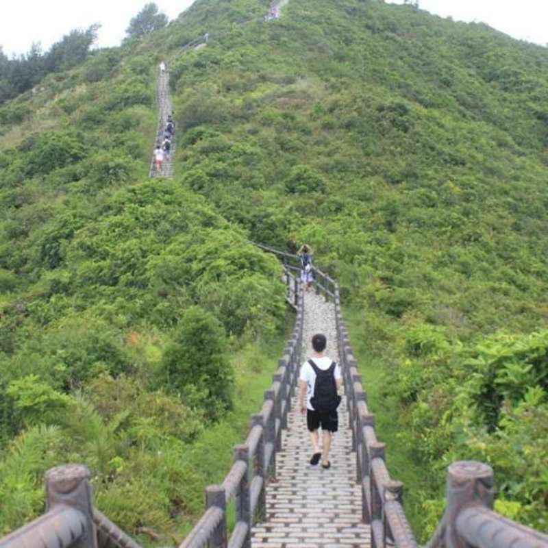 Weekend Trip to Lantau Island - Absolute Internship Hong Kong