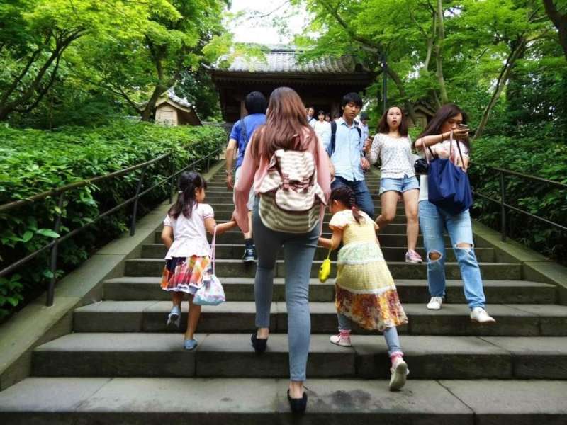 Study Abroad in Tokyo, Japan