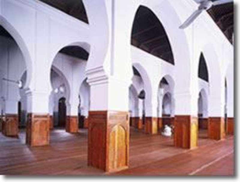 Arabic Language Immersion Programs in Morocco — photo 4