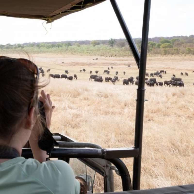 Nonprofit internship in Africa