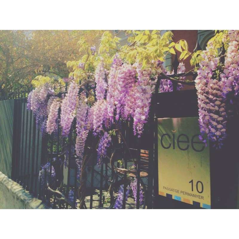 Barcelona Study Abroad in Spring