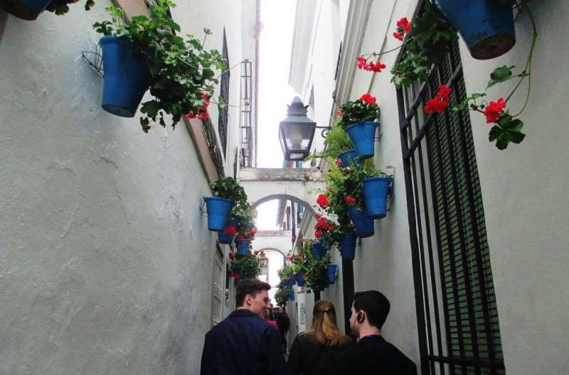 Study Abroad in Barcelona