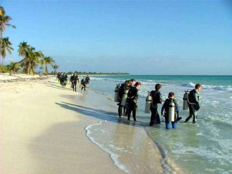 Seychelles - Scuba Dive for Research and Conservation — photo 2