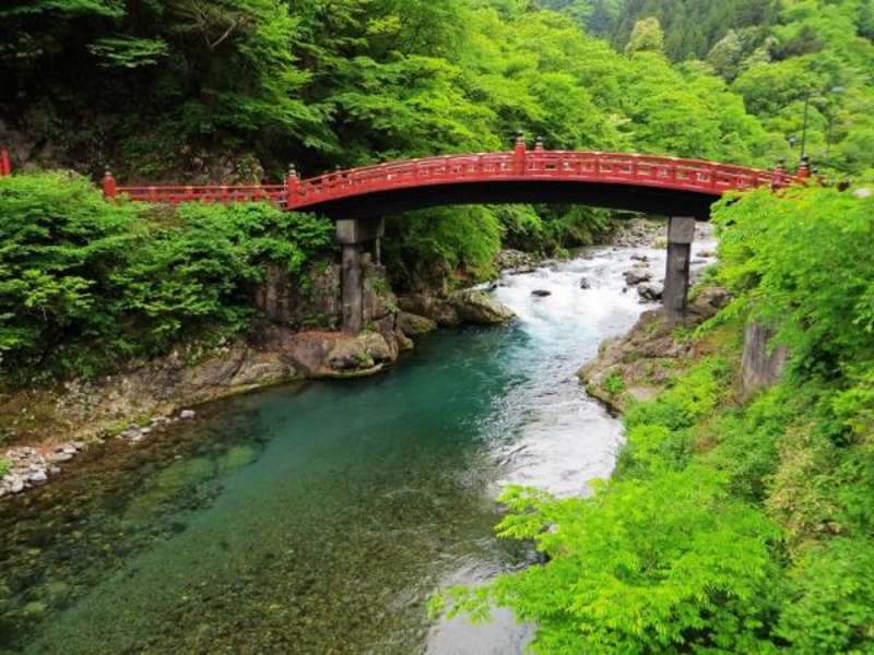 Middlebury School in Japan — photo 10