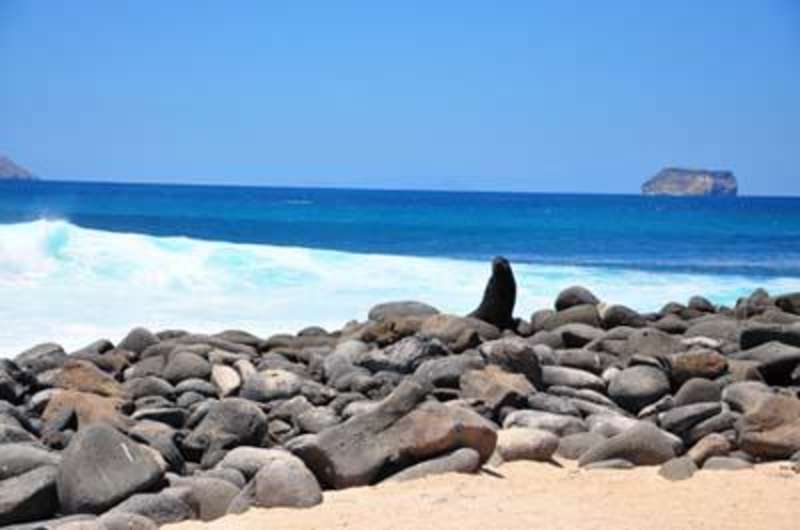 Get TEFL Certified & Get Paid to Teach English in Ecuador — photo 5