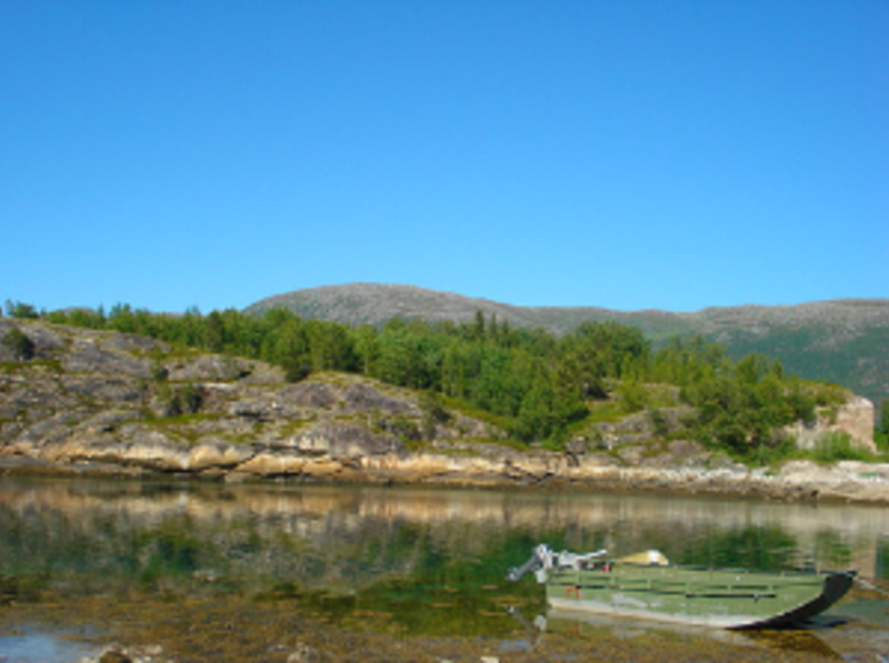 AFS Intercultural Programs: High School Abroad in Norway — photo 7