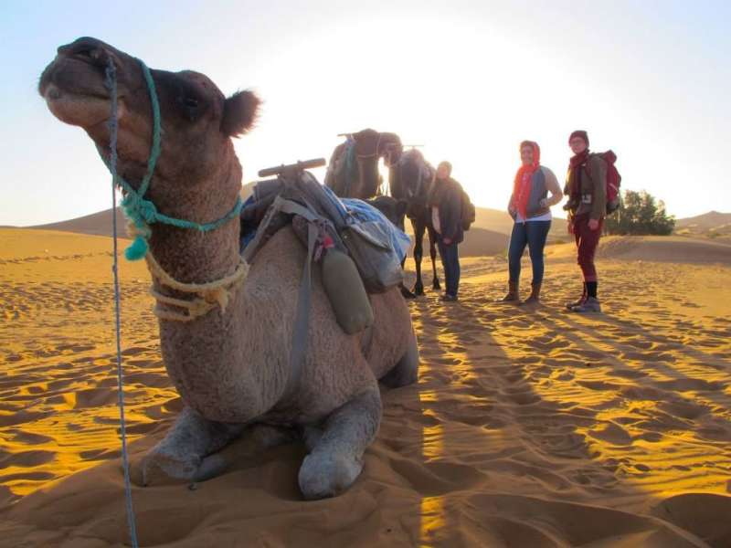 Study Abroad in in Rabat, Morocco