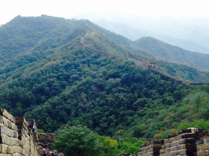 Study Abroad in Shanghai, China