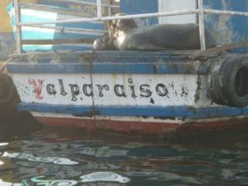 Business Internships in Chile with Adelante Abroad — photo 3