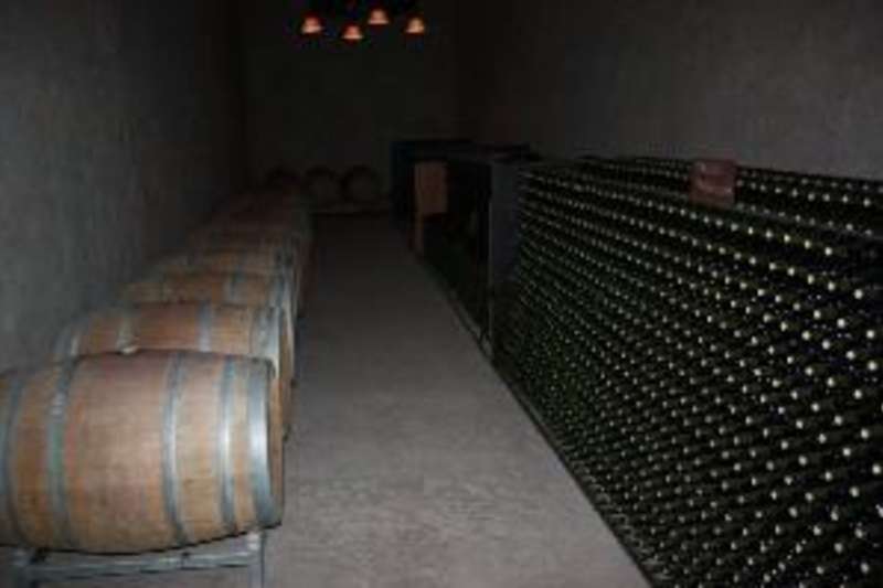 Mente Argentina: Wine Program + Optional Spanish — photo 3