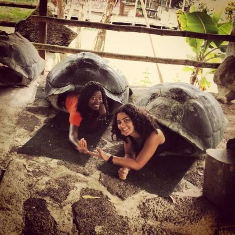 turtle people