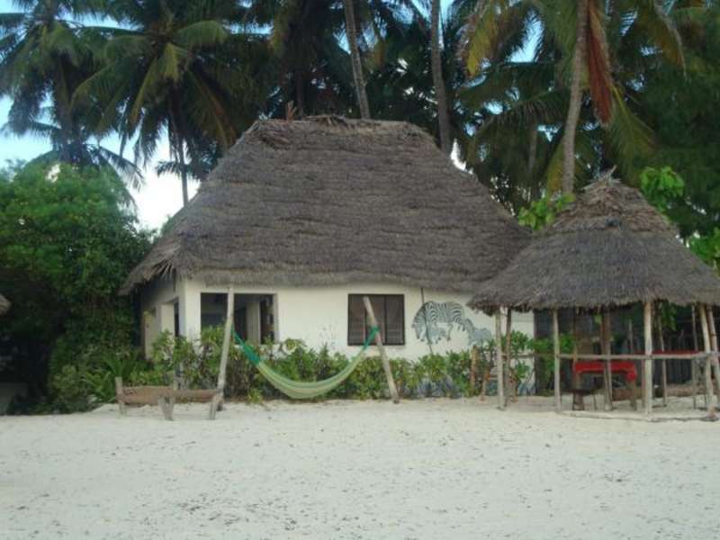 Zanzibar - Dolphin and Marine Conservation — photo 5