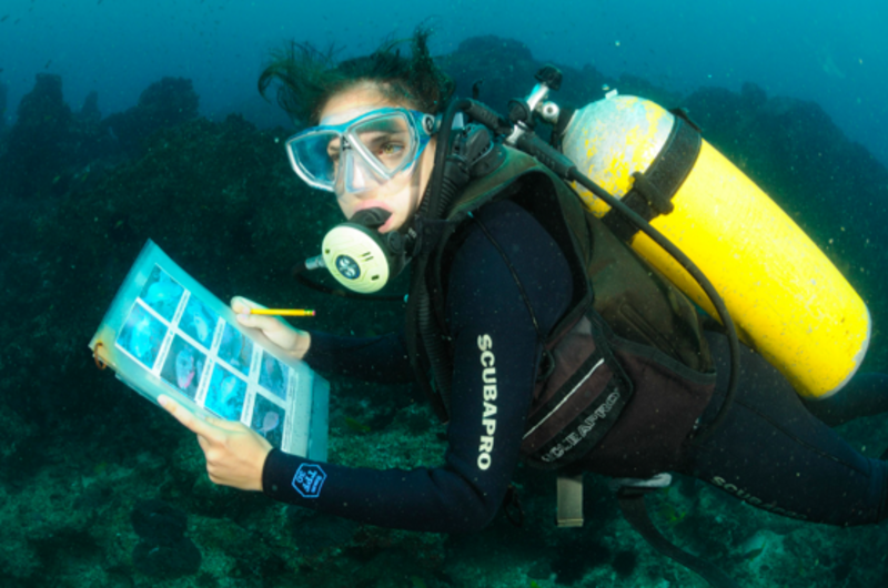 Diver recording
