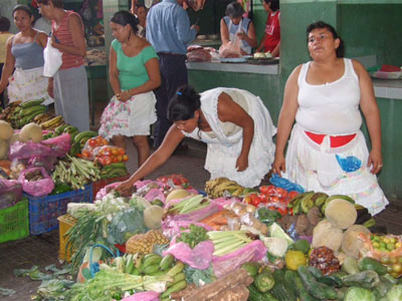One-on-One Spanish Lessons in Nicaragua — photo 5