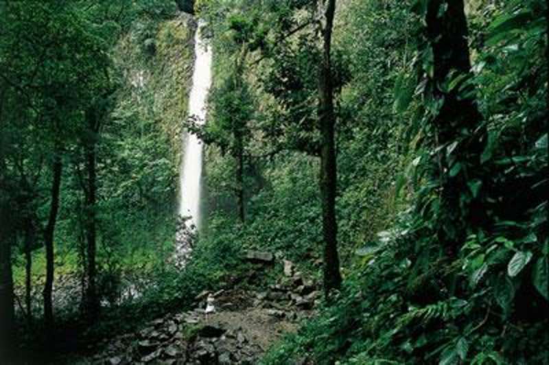 AIFS Abroad in San José, Costa Rica: Summer — photo 4