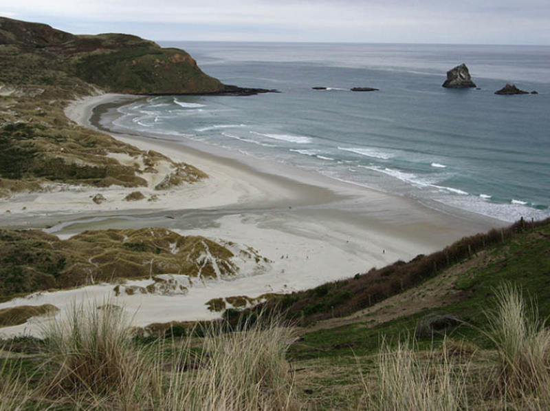 IFSA Victoria University of Wellington Partnership — photo 4