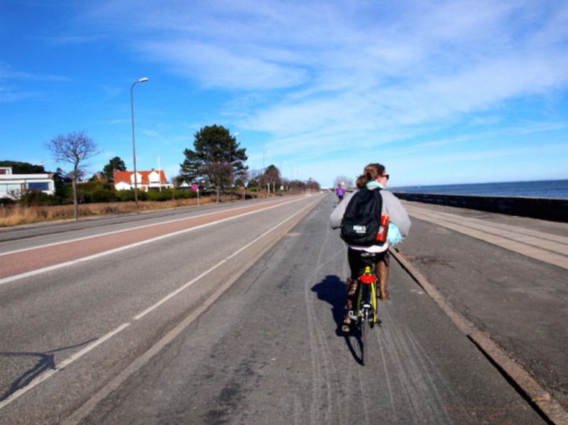 DIS Copenhagen – Sustainability — photo 2