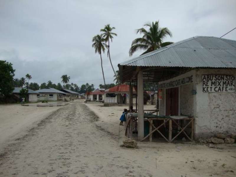 Zanzibar - Dolphin and Marine Conservation — photo 3