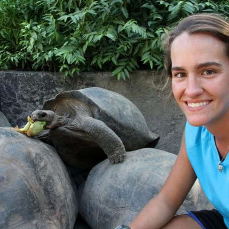 Giant Tortoise Breeding Center Volunteer in Galapagos — photo 8