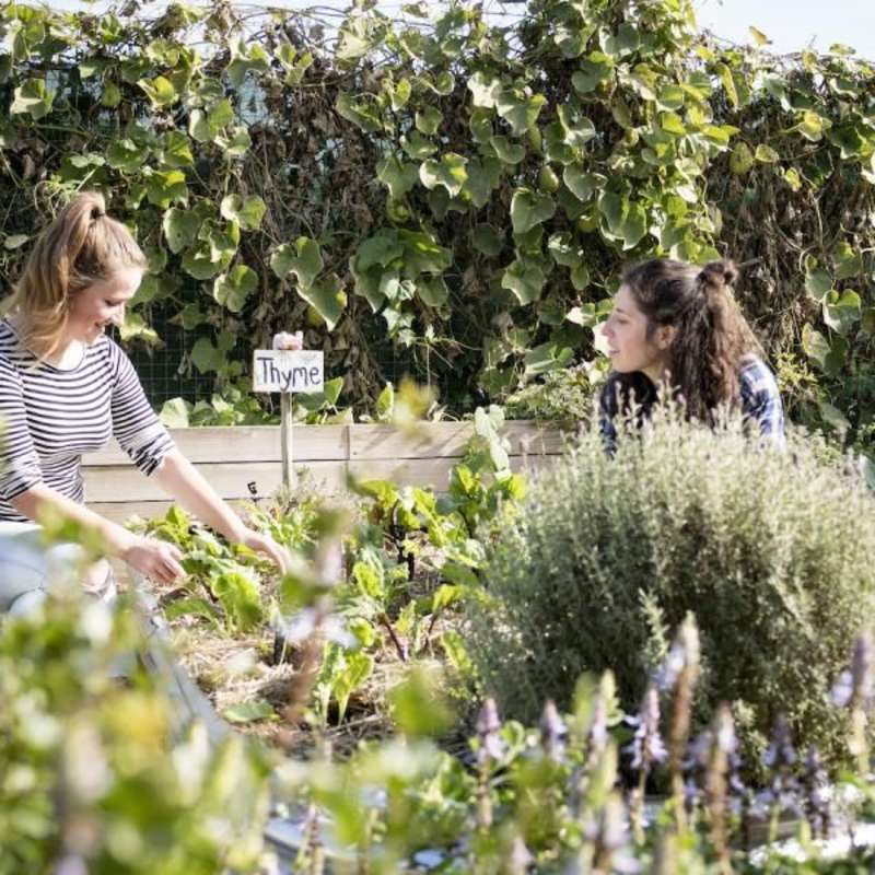 food security internship