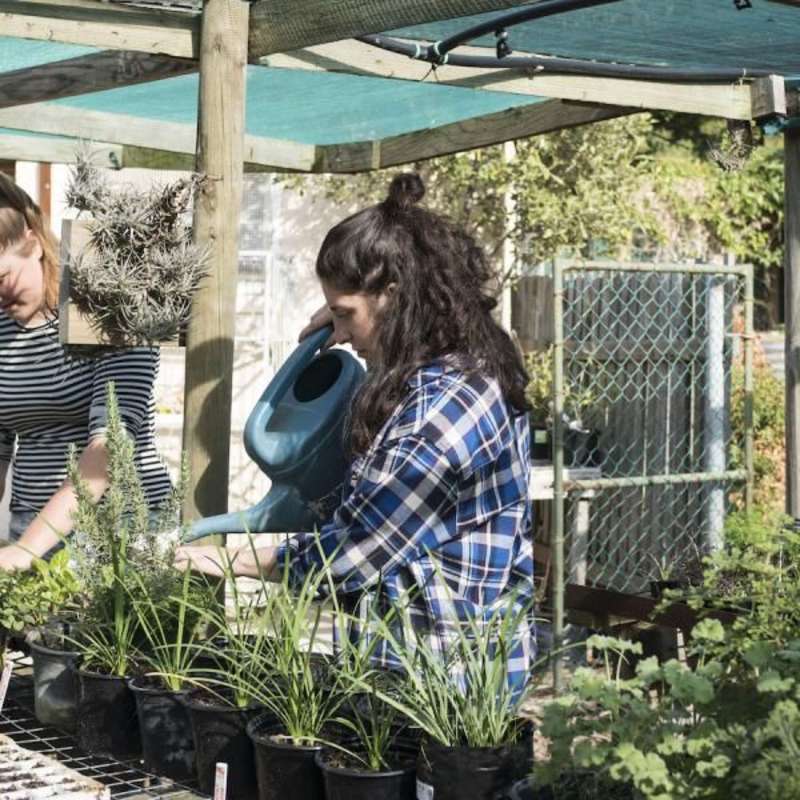 food garden internship
