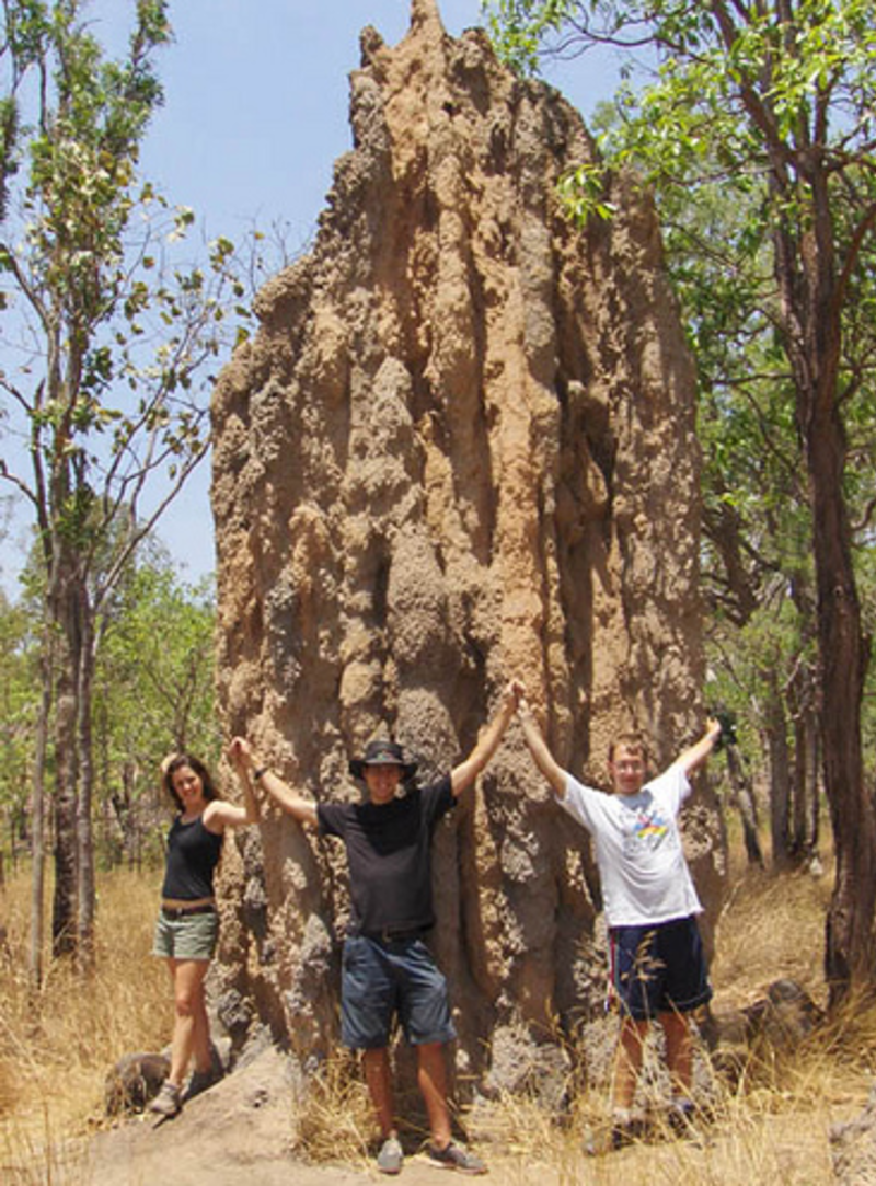 IFSA: Griffith University Partnership — photo 6