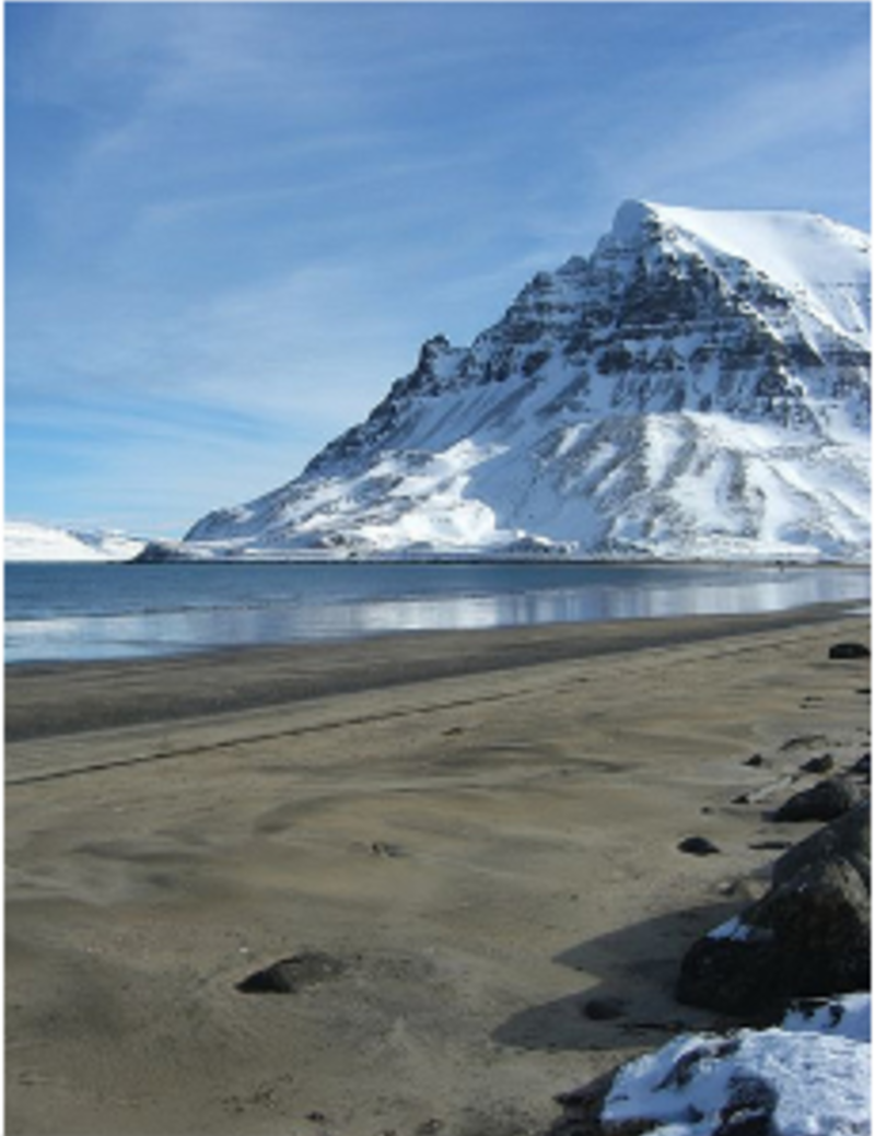 AFS Intercultural Programs: High School Abroad in Iceland — photo 8