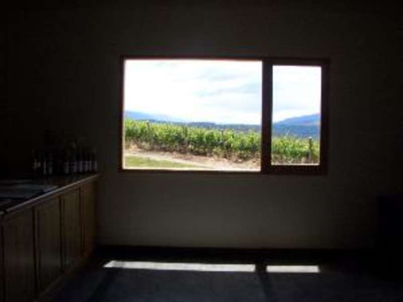 Mente Argentina: Wine Program + Optional Spanish — photo 7