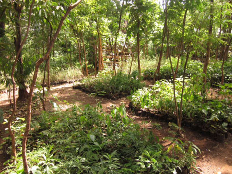 Mother Nature Climate Change Camp in Kilimanjaro, Tanzania — photo 4