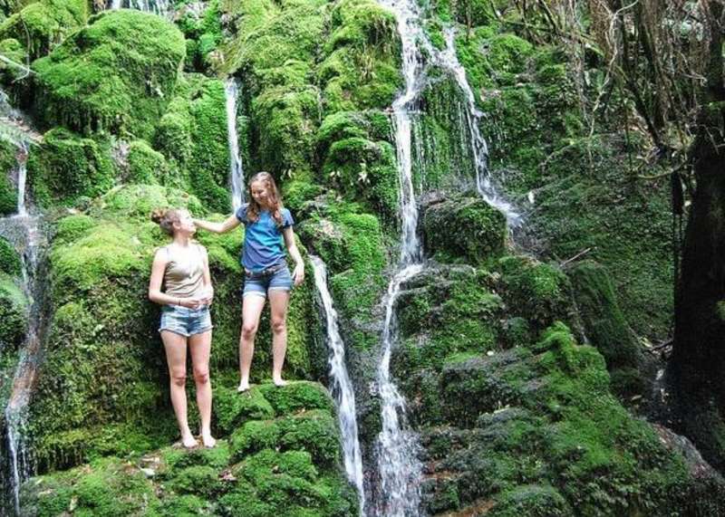study in new zealand