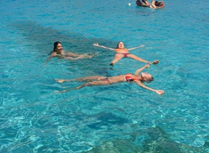 Greece - Sea Turtle Conservation - Teen Volunteering — photo 2