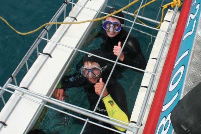 South Africa - Great White Shark Conservation — photo 4