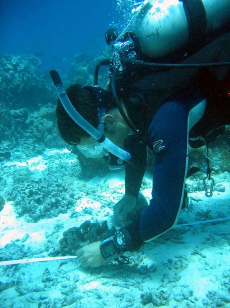 Seychelles - Scuba Dive for Research and Conservation — photo 3