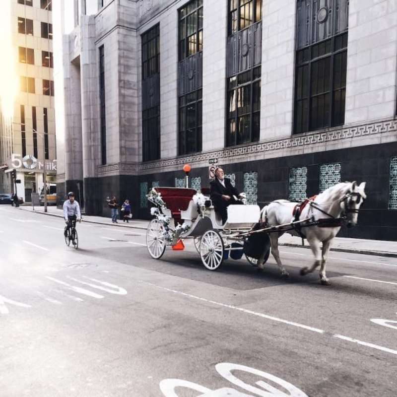Art Gallery Internship