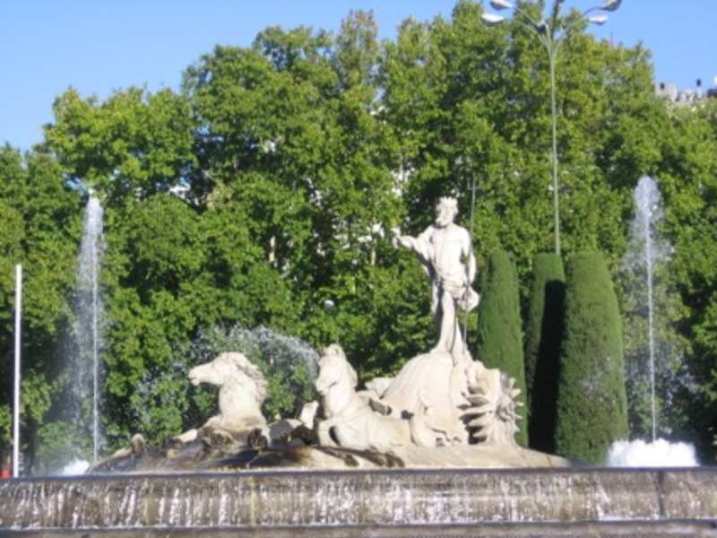 Psychology Internship in Madrid, Spain — photo 1