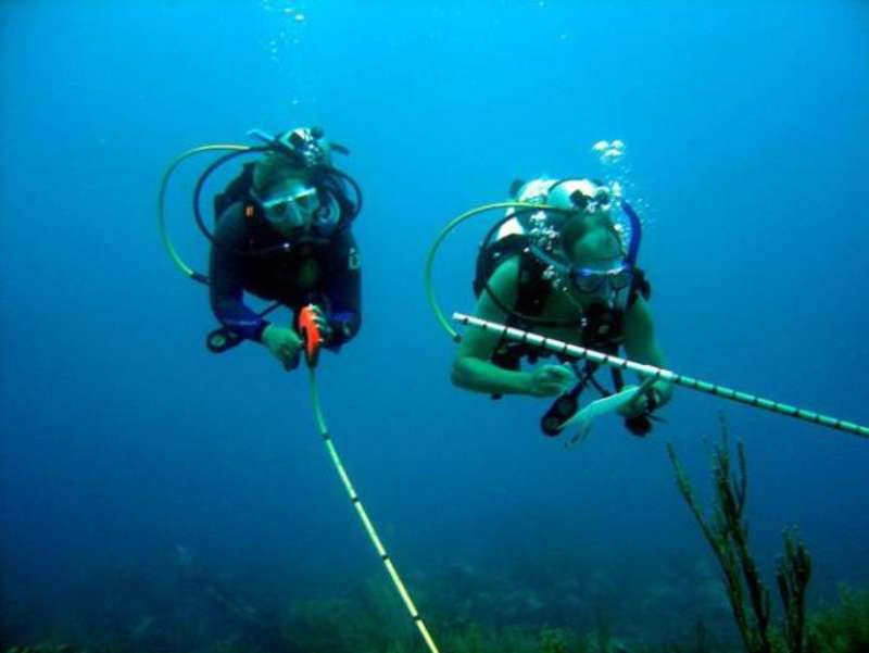 Seychelles - Scuba Dive for Research and Conservation — photo 1