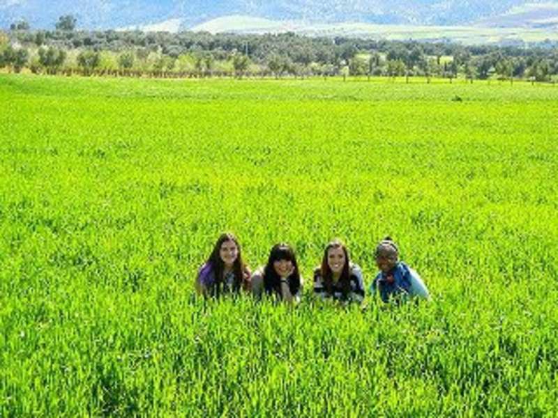 CEA CAPA Education Abroad in Granada, Spain — photo 8