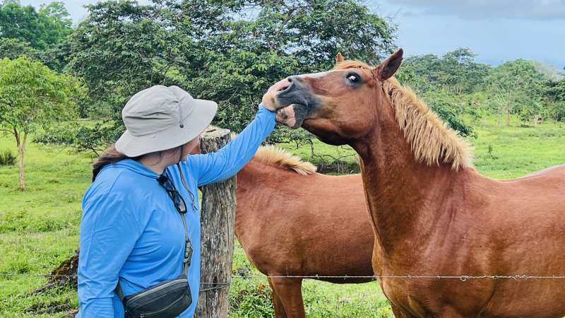 A girl pets a horse with farm background.