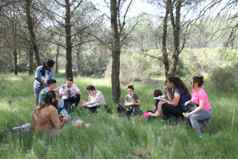 a group of people enjoying a picnic and gathering in a wooded natural area