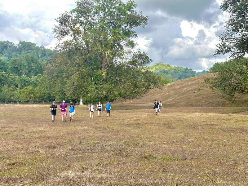 A group walks towards the camera in a grassy field, with trees in background.