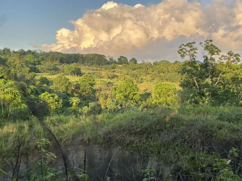 A landscape shot of green hills and forest