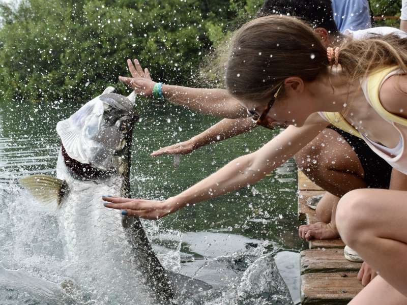 A large fish jumping out of the water next to students on a pier.