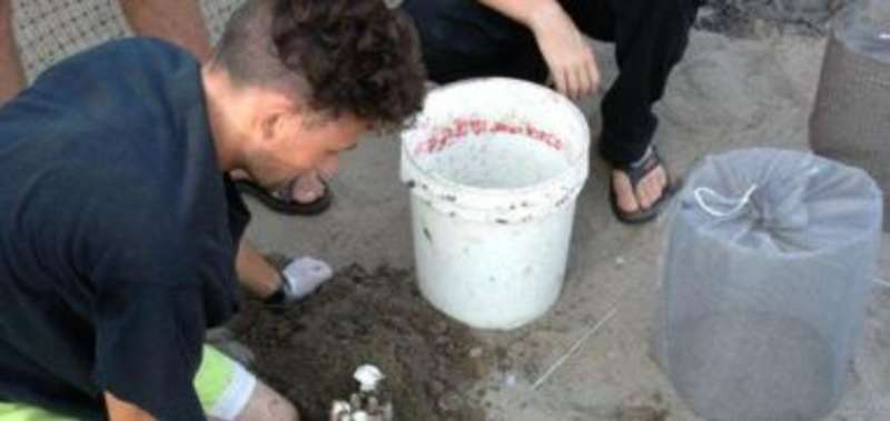 A man kneeling down to put a flower in a bucket.