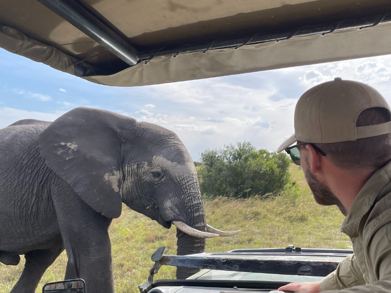 a man looks out at an elephant